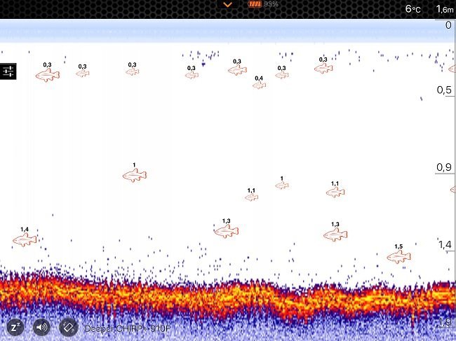 Deeper CHIRP Wurfecholot beim Einsatz