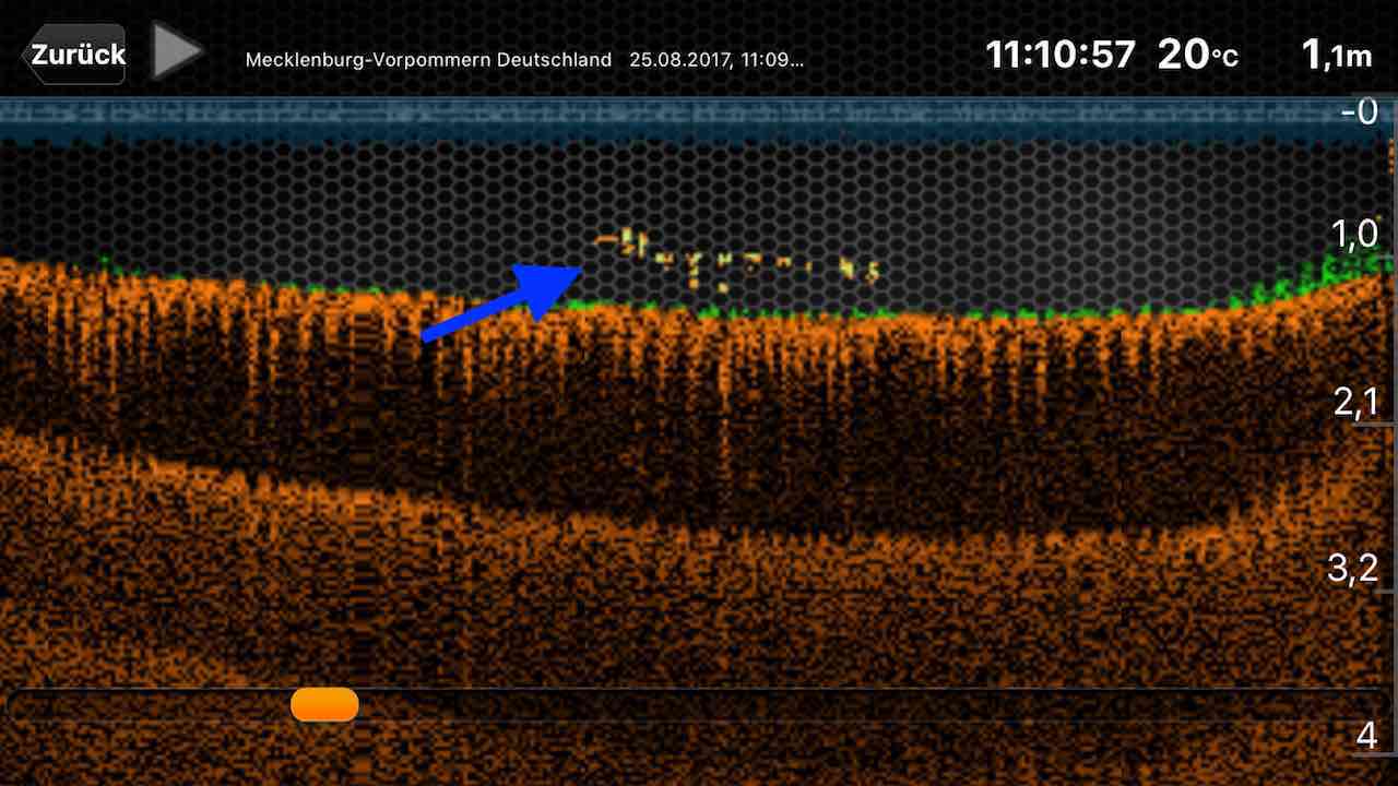 Deeper-Sonarbild mit Unterwasserstruktur