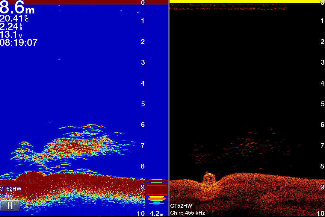 Down- und Sidescan-Echolotbild einer Struktur unter Wasser