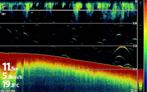 Echolotbild mit Fischsicheln, Bodenlinie und Tiefenanzeige
