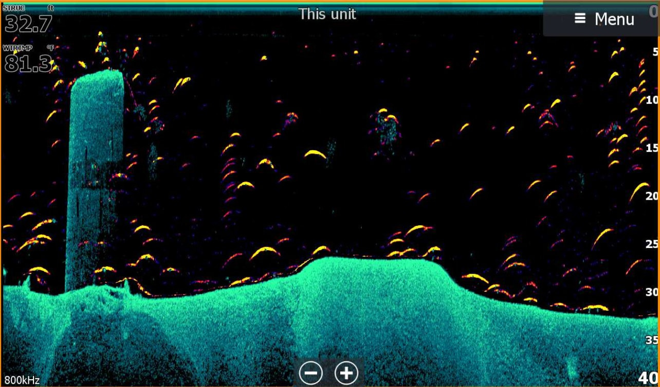 Was ist FishReveal Lowrance Echolote