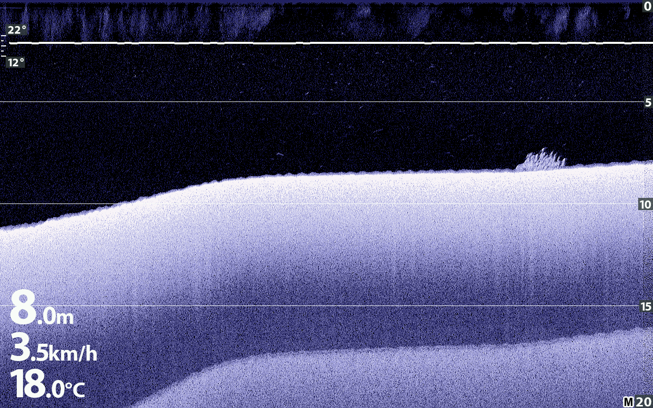 Down-Imaging-Aufnahme mit ansteigendem Grund und hellen Echos oberhalb der Bodenlinie