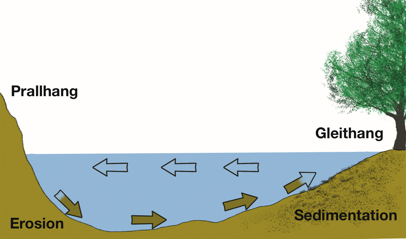 Grafik zu Prallhang und Gleithang beim Karpfenangeln im Fluss