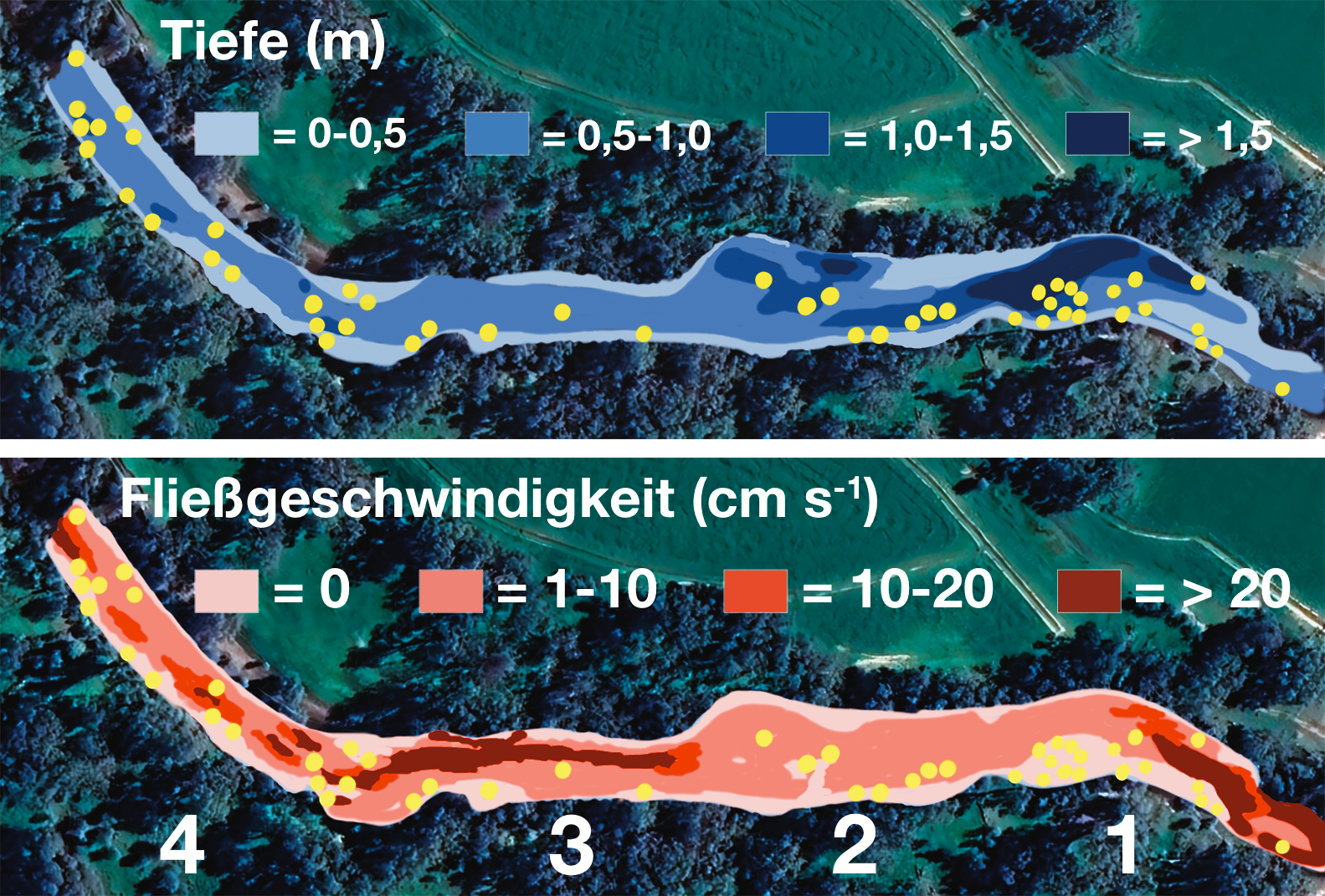 Karpfenstandorte im Broken River mit Tiefe und Fließgeschwindigkeit