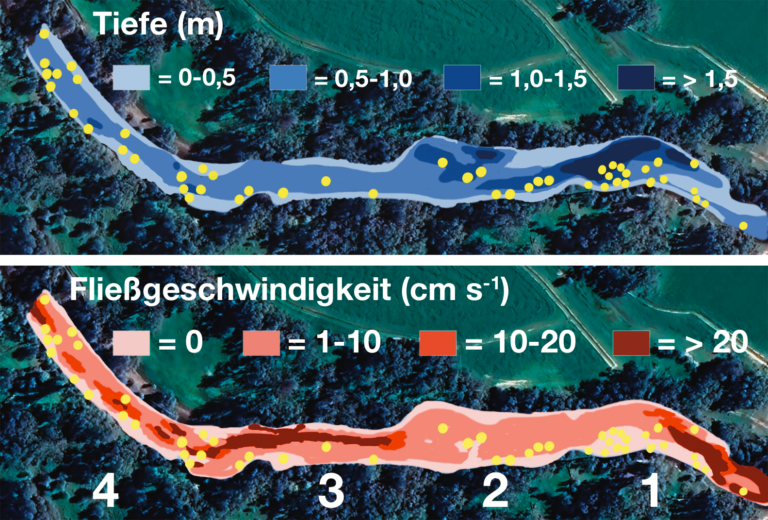 Illustration eines Gewässers mit Uferkante, Tiefe und Strömungsbereichen