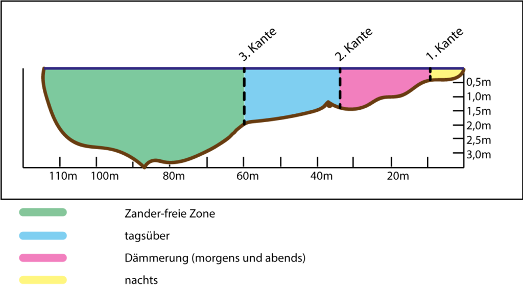 Tages- und Nachtpositionen von Zander Nummer 35 im Fluss