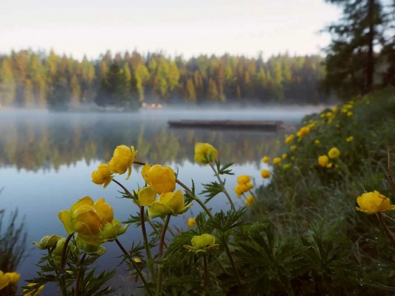 Frühlingsmorgen am See aus dem bisherigen Zander-Frühjahrsartikel