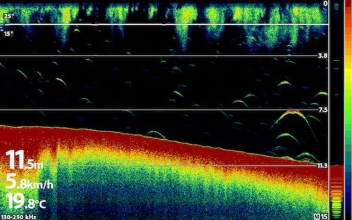 Echolotbilder_interpretieren_deuten_auswerten