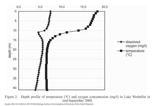 Sauerstoffgehalt in der Thermokline: Daten aus dem Jahr 2009, September, Werbelliner See in Brandeburg.