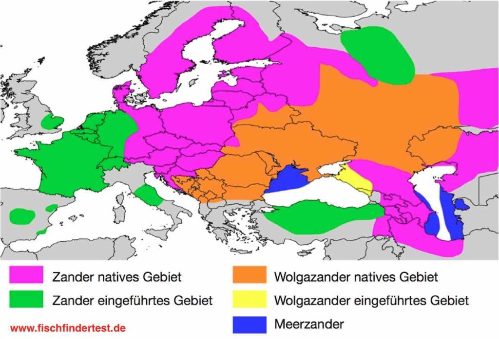 Verbreitung des Zander in Europa