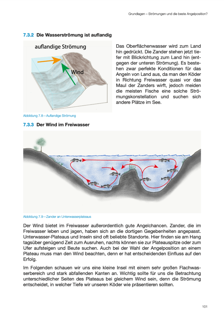 Zanderbuch Modernes Fische Finden Der Zander Bildgallerie 2023 04 12 um 12.16.24