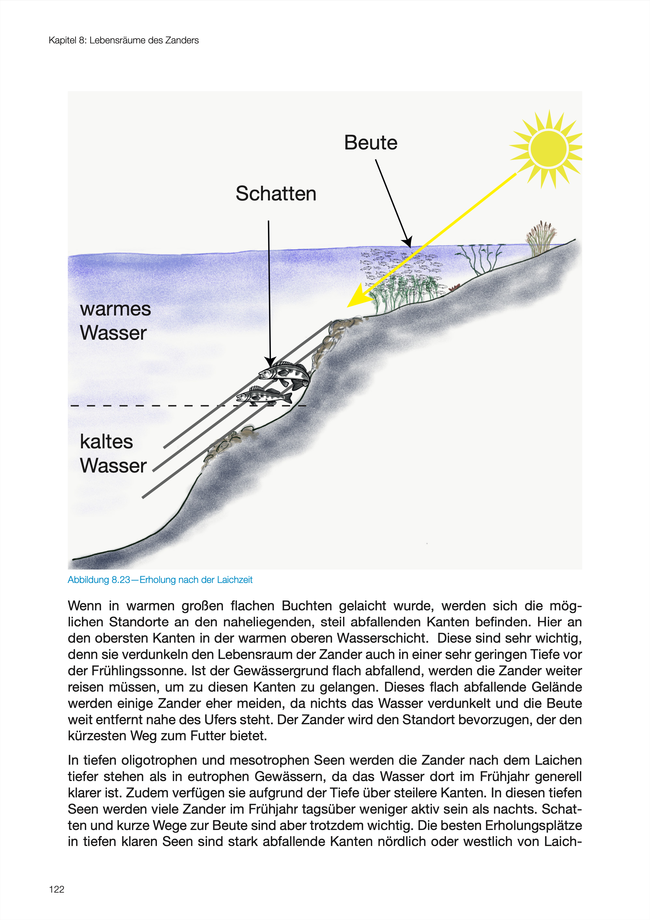 Auszug aus 