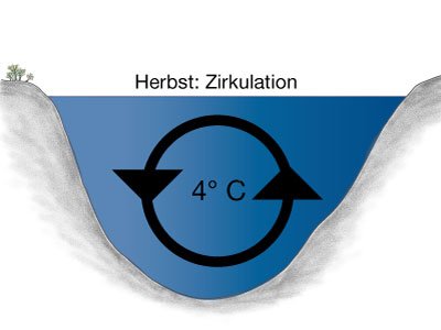 Thermokline: Frühjahrszirkulation der Wassermassen in einem See.