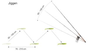 Köderführung mit dem Gummifisch auf Zander jiggen