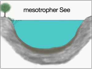 mesotropher see