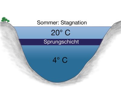 Erklärung der Thermokline: Sommerschichtung eines Gewässers - Stagnation inklusive Bildung der Sprungschicht.