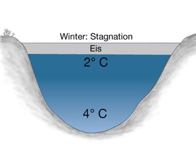 Sprungschicht in einem See im Jahresverlauf: Winterstagnation und Eisbildung.