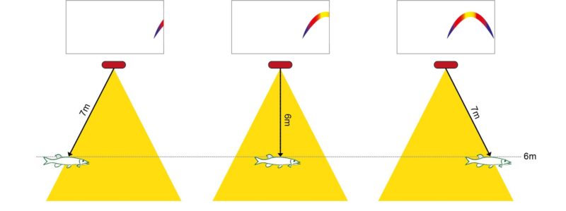 So entsteht eine Fischsichel beim Fischfinder-Angeln