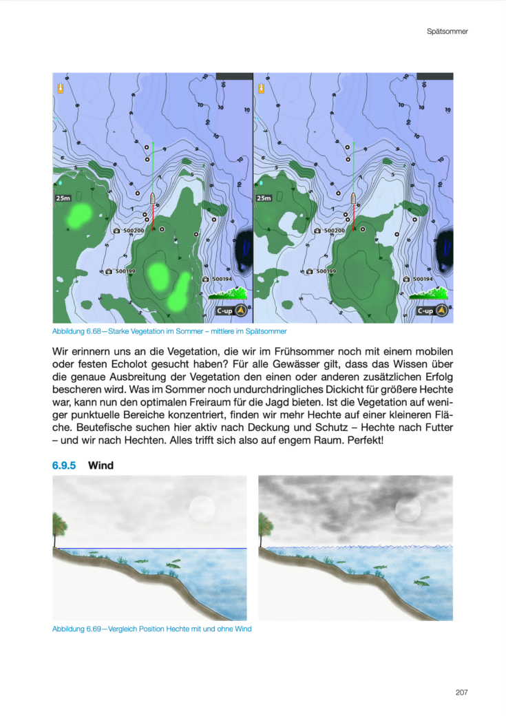 Hechtbuch Modernes Fische Finden Bildgallerie 2023 04 12 um 13.39.16