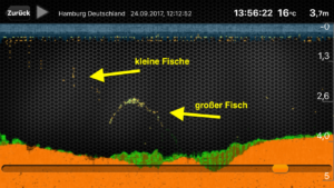 Deeper Pro Plus - Raubfische Beutefische
