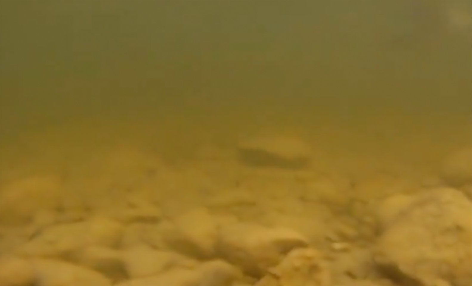 Hecht 6.26 final trübes braunes Wasser