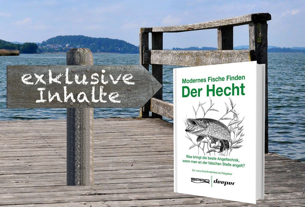 In Welchen Monaten Fressen Hechte Am Meisten