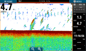 Abb. 6.2 Echolot Dreikampf in der Mittelklasse