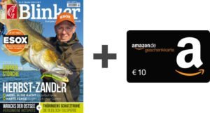 Blinker Probeabo und Amazon Gutschein