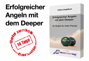 onlinekurs deeper cover quer e1619090057993