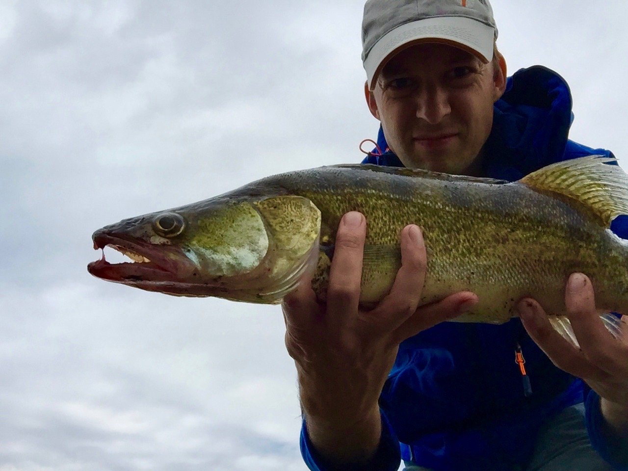 Die Beste Buhne Ist Besetzt Du Bist Zu Spat Hier Findest Du Mehr Zander Fischfindertest