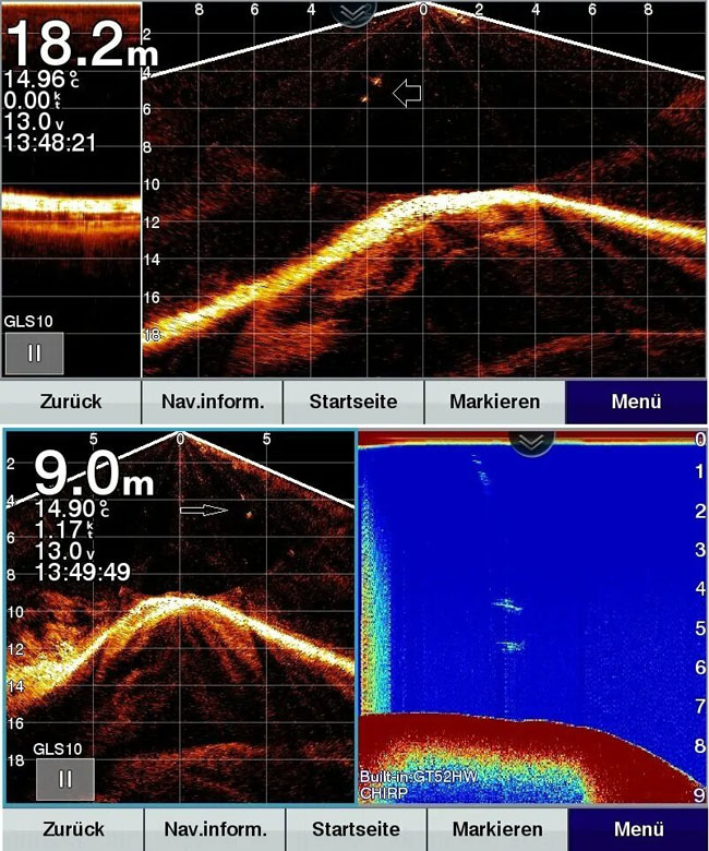 Garmin-LiveScope-echolot-2d-chirp-test