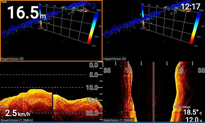 Echolot Raymarine Element 7 HV-100 - Echolotbildinterpretation