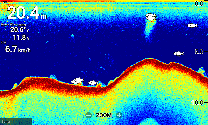 Echolot Raymarine Element 7 HV-100 - Fische am Grund finden