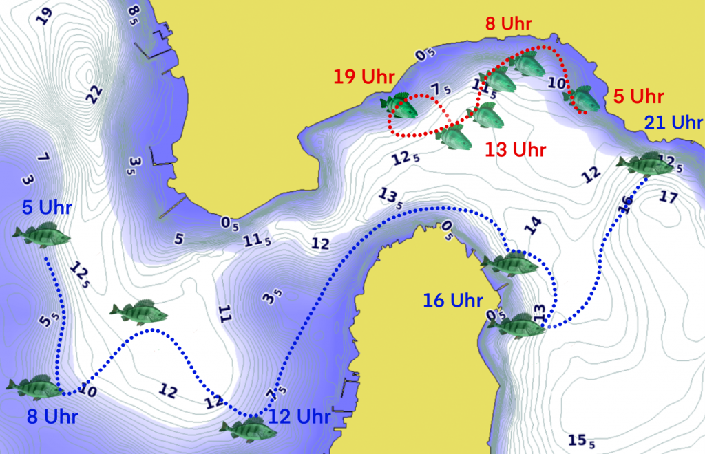 Modernes Fische finden - Barsche 35 Barschbuch 3.18 tägliche Bewegung von Barschen flyer 1