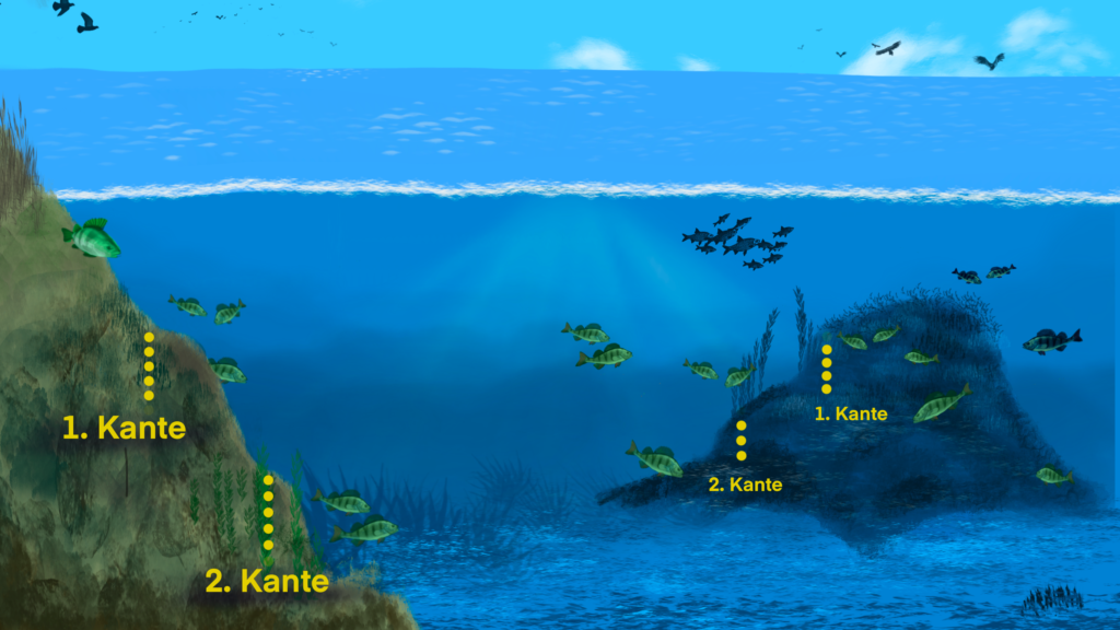 Modernes Fische finden - Barsche 34 Barschbuch 6.65 Uferkanten und Plateaus flyer 1