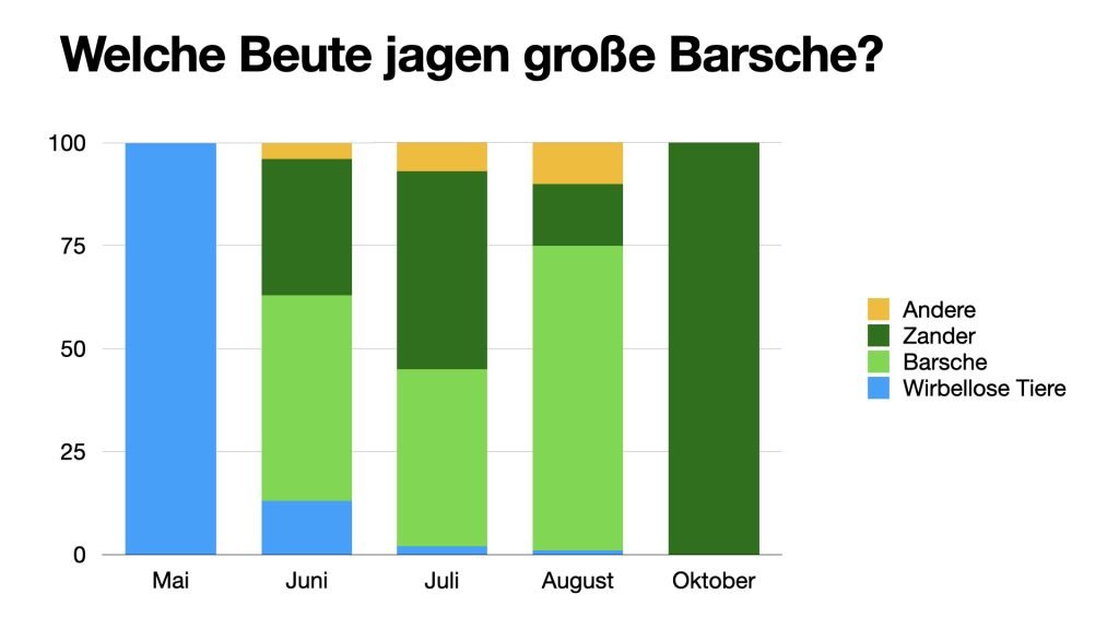 Modernes Fische finden - Barsche 36 Barschbuch Was fressen Barsche im Laufe eines Jahres 1