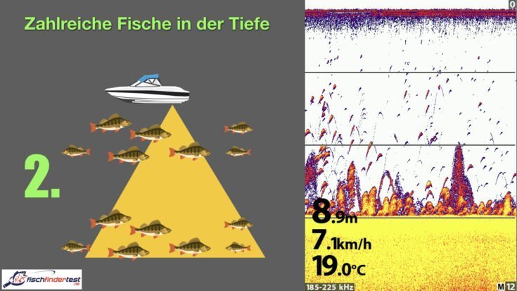 ᐅ Echolot-Kurs ? Angeln mit dem Fischfinder ?