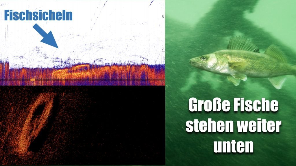 Erfolgreicher Angeln mit dem Deeper – So fängst du mehr Fische 148 Deeperkurs Erfolgreicher angeln mit dem Deeper.001 1