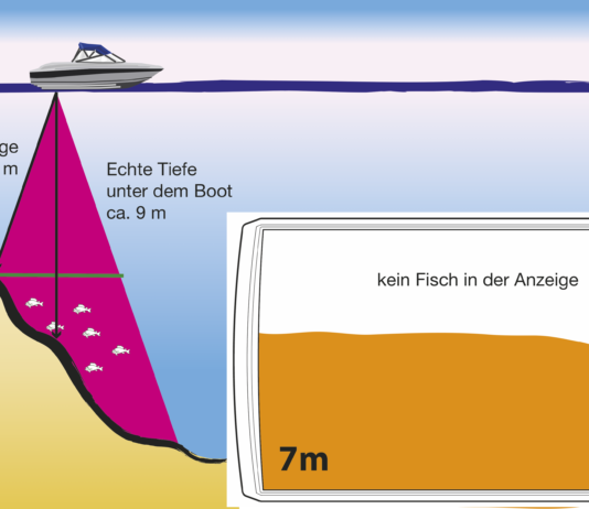 Echolot Fische finden der große echolot ratgeber flach in tief 534x462 1 1