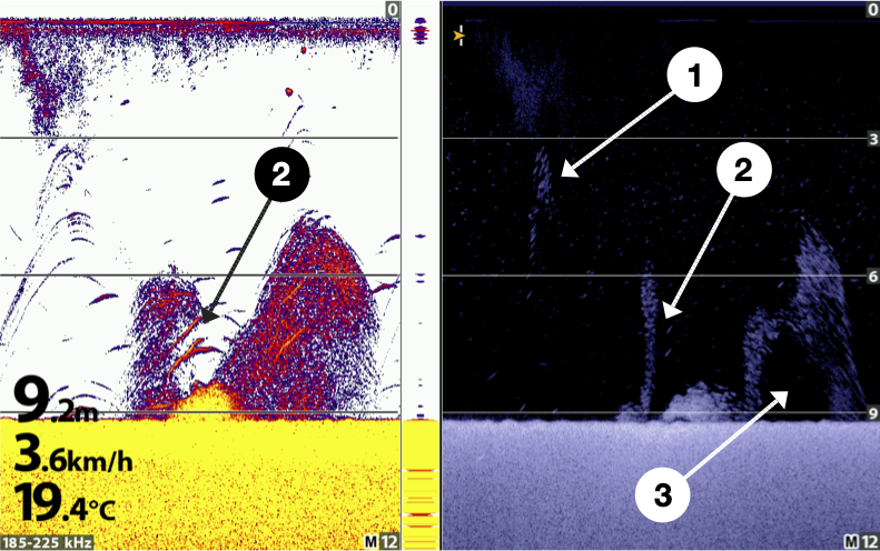 Echolotratgeber DI und 2D S00052 2D vs DI 1