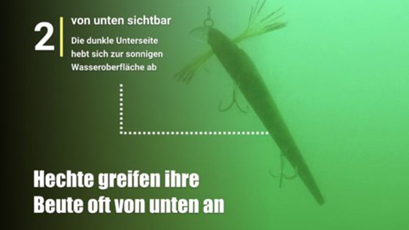 Futterneid-3.jpg
