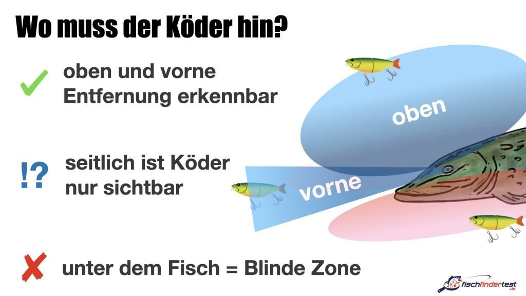 Köderkurs 1 - Die beste Köderfarbe für Hecht, Barsch, Zander und Forelle 21 Raubfisch Köderkurs Wie beangle ich Hechte Barsche und Zander mit meinem Köder 1