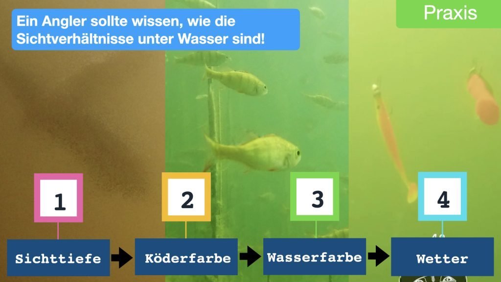 Köderkurs 1 - Die beste Köderfarbe für Hecht, Barsch, Zander und Forelle 19 Raubfisch Köderkurs. So wählst du die beste Köderfarbe für Barsch Hecht und Zander 1