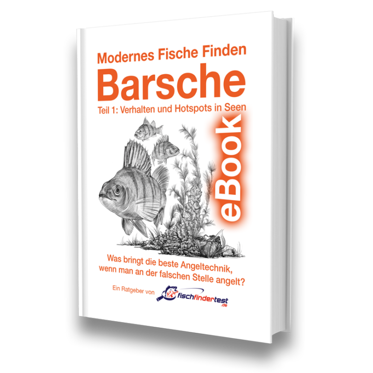 MFF B Cover Modernes Fische Finden Barsche 1 eBook