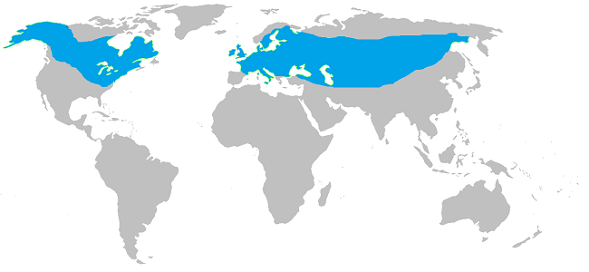 hecht-verbreitung-karte