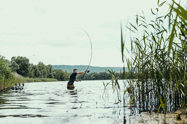 angelrute_fliegenfischen_karpfenrute