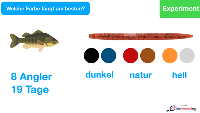 hechtkoeder-beste-farbe-test-experiment