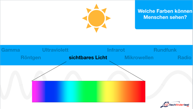 der_beste_koeder_fuer_hechte