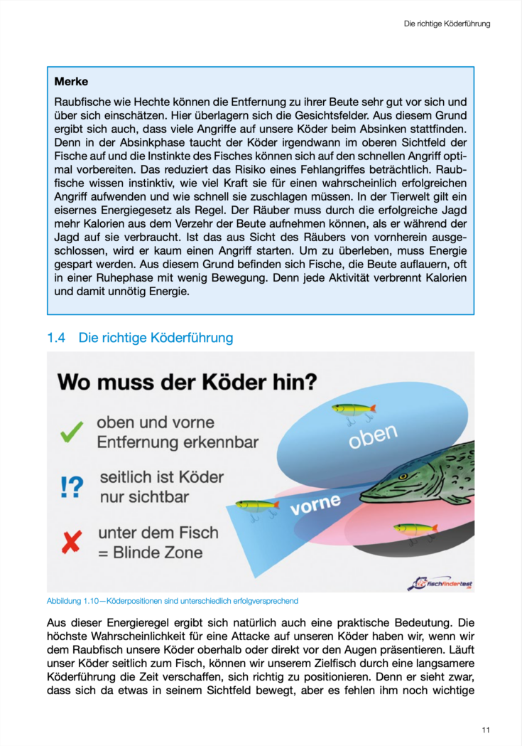 Angelbuch Modernes Fische Finden Koederwissen Bildgallerie 2023 04 12 um 15.42.25