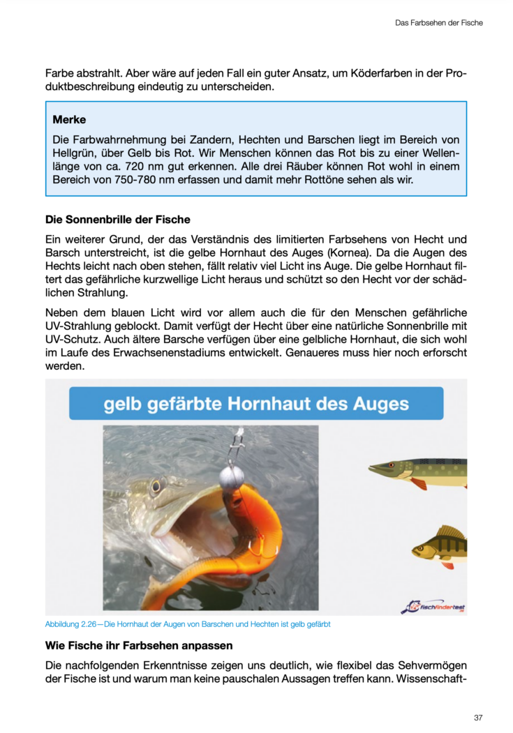 Angelbuch Modernes Fische Finden Koederwissen Bildgallerie 2023 04 12 um 15.43.49